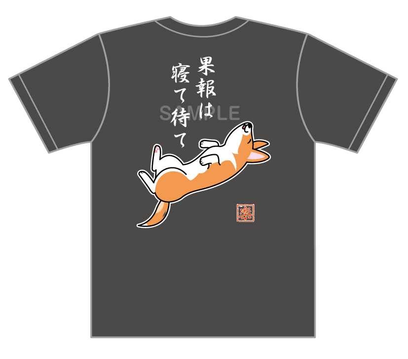 楽ちゃん 寝て待てTシャツ_d0102523_1574065.jpg