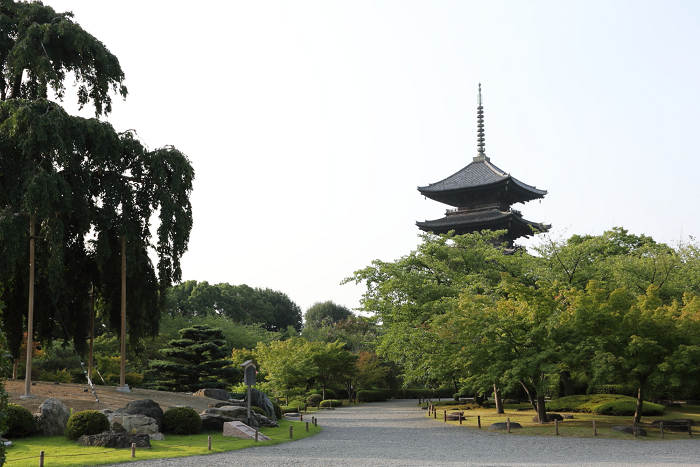 蓮のお寺巡り －東寺－ _b0169330_75849100.jpg