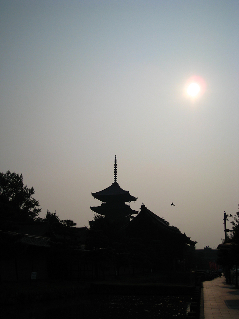 蓮のお寺巡り －東寺－ _b0169330_759666.jpg