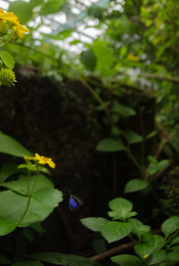 a0126632_20414039.jpg
