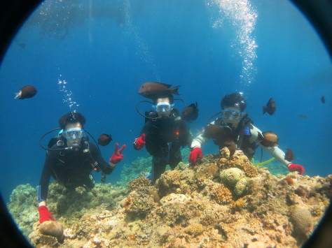 7月2日最高水納島と激混み青の洞窟_c0070933_23564780.jpg