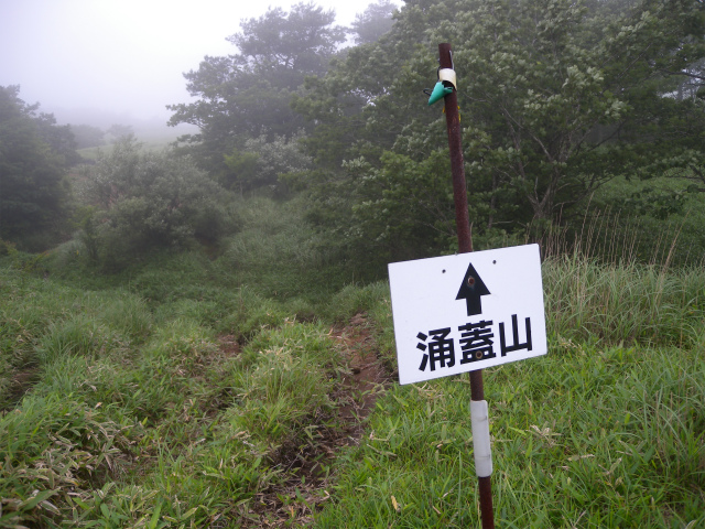 一目山＆みそこぶし山＆涌蓋山!_e0272335_18283718.jpg