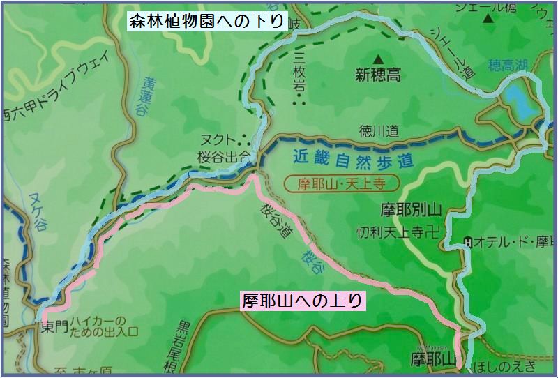 森林植物園から摩耶山往復(2)_b0036638_20354996.jpg