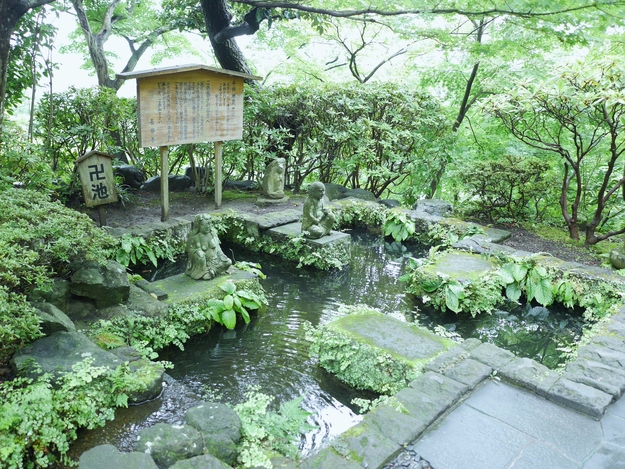 鎌倉の長谷寺で紫陽花見てきました_f0318142_93450.jpg