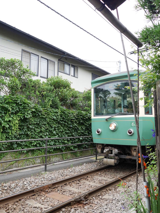 鎌倉の長谷寺で紫陽花見てきました_f0318142_939468.jpg