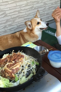 外焼き肉_f0045846_18343257.jpg