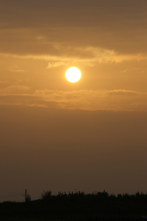 d0342449_07251756.jpg