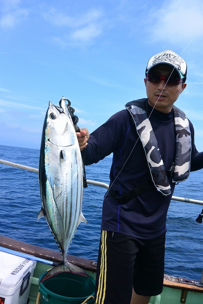 7月2日 カツオ 伊勢志摩の釣り船 長栄丸