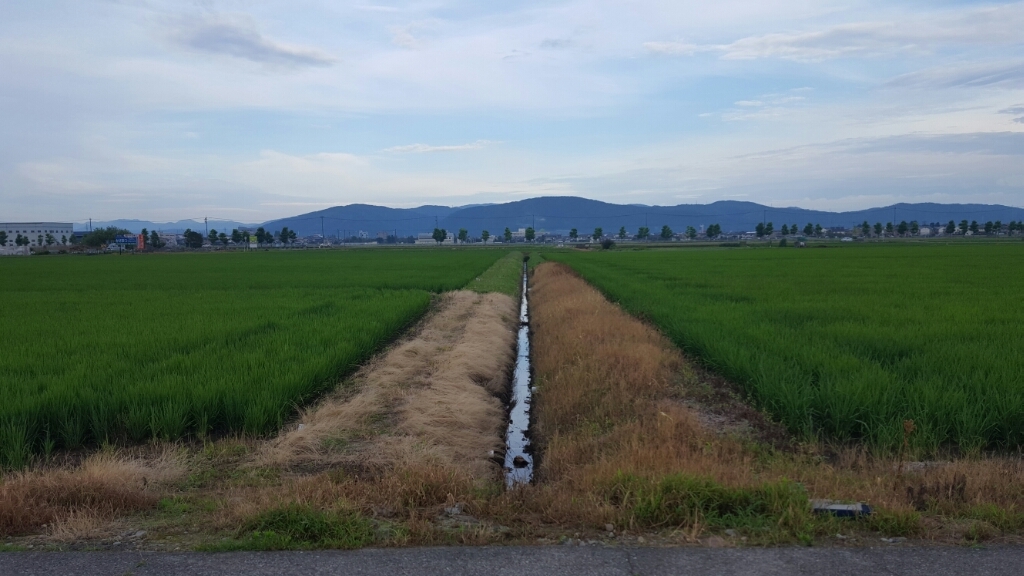 7月2日（土）おはようございます…今日は朝）神明教室」があり、昼は本家で「法事」があります。_e0327460_05554658.jpg