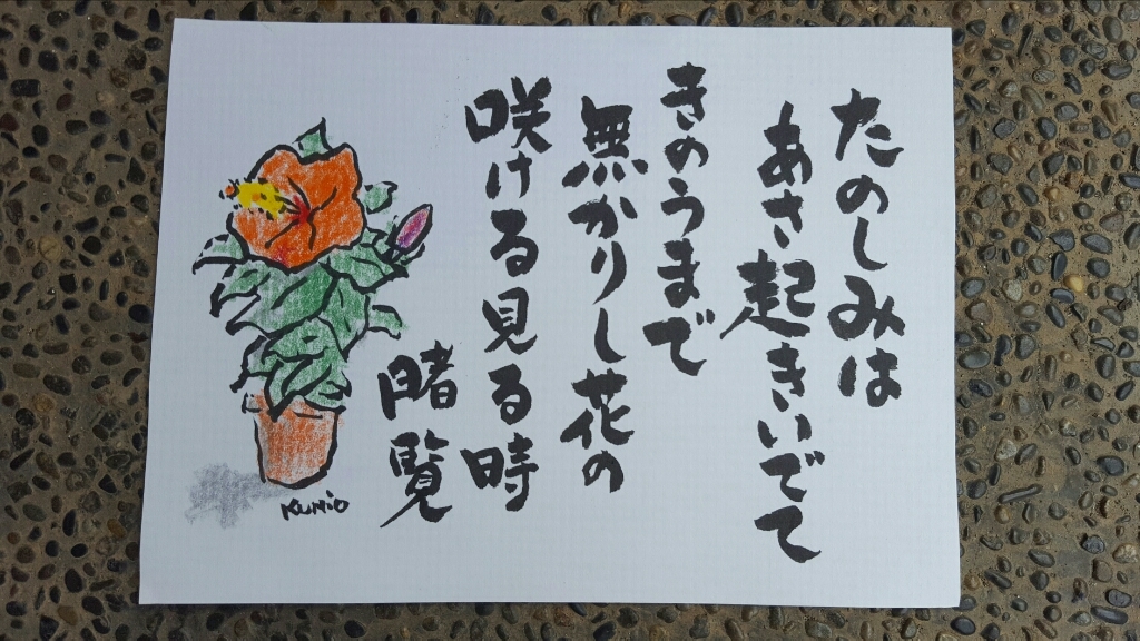 花のお世話は、妻がやってくれます。_e0327460_07232878.jpg