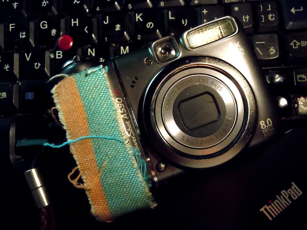 RawTherapeeとPowerShot A 590IS_d0067866_20275525.jpg