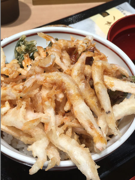 富山名物!絶品白えび刺身丼!!&おまけに白えび天丼(富山駅そば・白えび亭)_e0171573_18291571.jpg