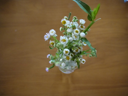 あっかんべーの花 トータルサポート ハロー 旧 ふぉるつぁのみんなと笑おう あっかんべーの花 トータルサポート ハロー 旧 ふぉるつぁのみんなと笑おう