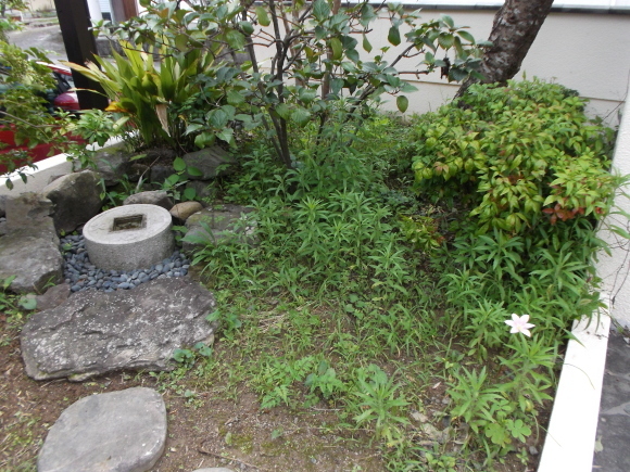 b0224178_14001327.jpg