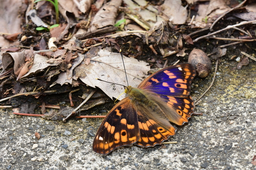 f0348480_17332273.jpg