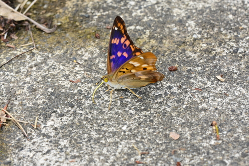 f0348480_17401921.jpg