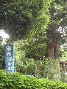 b0090284_10452532.jpg
