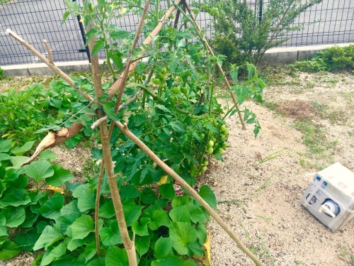 b0201492_21264608.jpeg