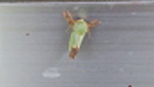 週末は、雨？_b0343293_21362440.jpg
