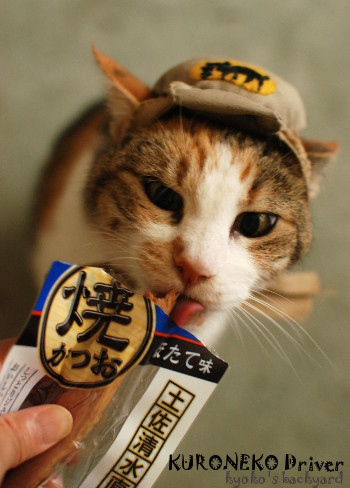 クロネコ運転手の特別手当 その2_b0253205_04385313.jpg