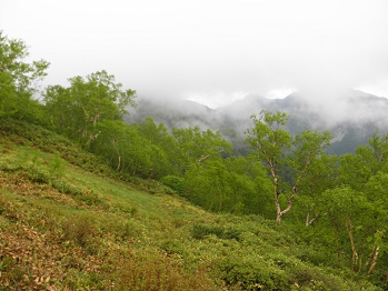 d0032405_2137209.jpg