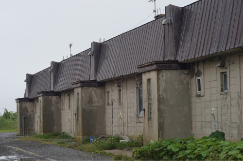 d0147406_14472019.jpg