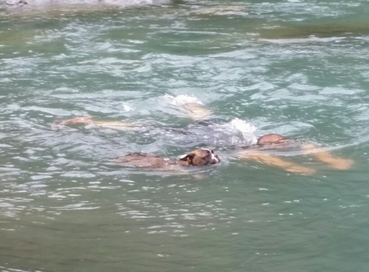 c0326807_13190654.jpg