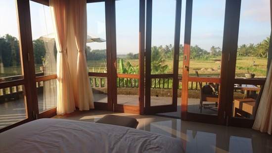 Pondok Tropical Guest House @ Jl.Gunung Sari, Peliatan (\'16年4月編)_f0319208_0293455.jpg