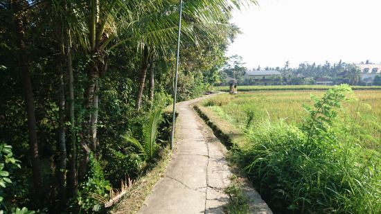 Pondok Tropical Guest House @ Jl.Gunung Sari, Peliatan (\'16年4月編)_f0319208_1321918.jpg