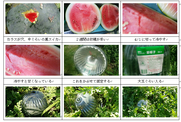 f0231709_1441950.gif