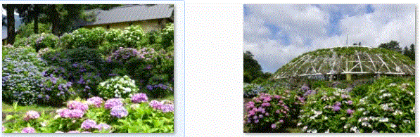 f0231709_2355361.gif