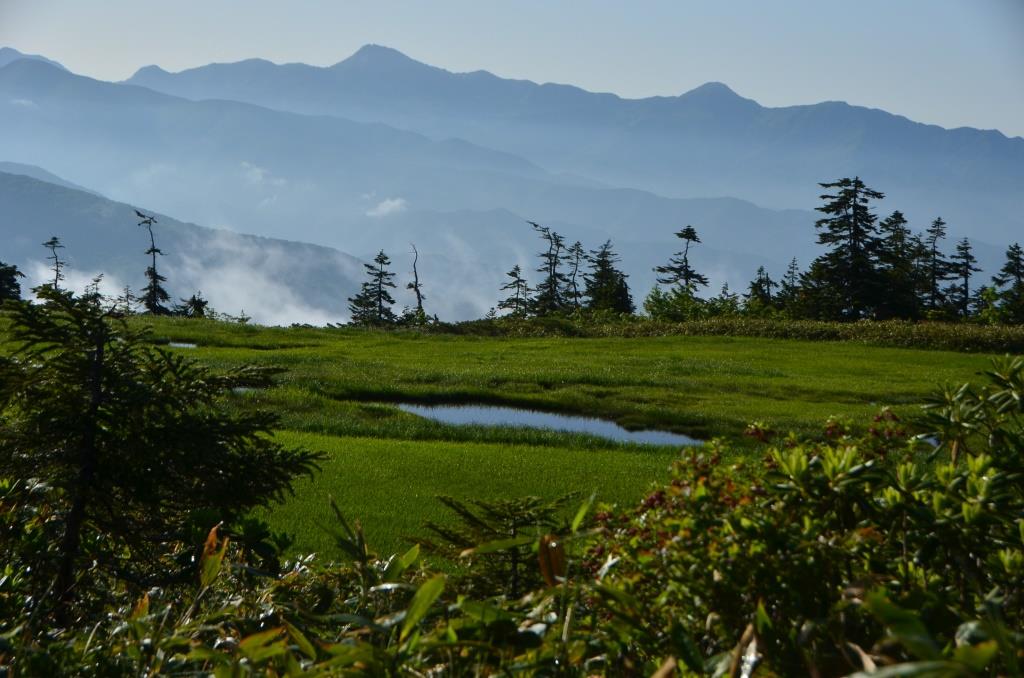 2016/7/1 笠ヶ岳・至仏山_a0340812_857246.jpg