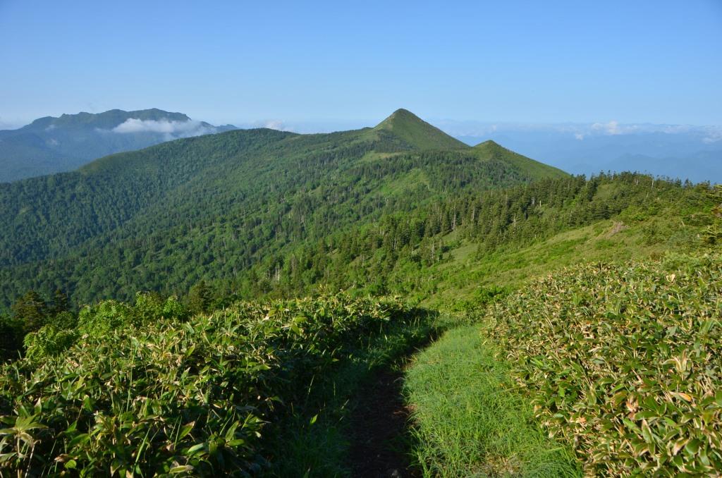 2016/7/1 笠ヶ岳・至仏山_a0340812_8581485.jpg