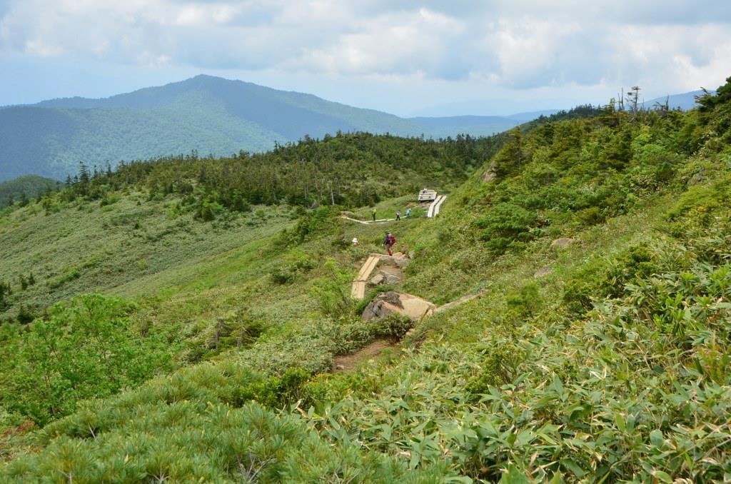 2016/7/1 笠ヶ岳・至仏山_a0340812_910539.jpg