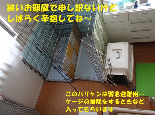 f0121712_115666.jpg