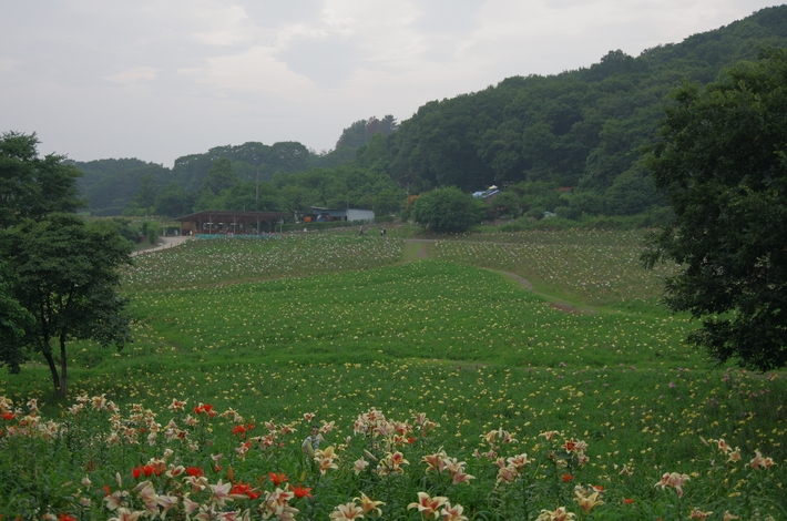 c0022113_1161775.jpg