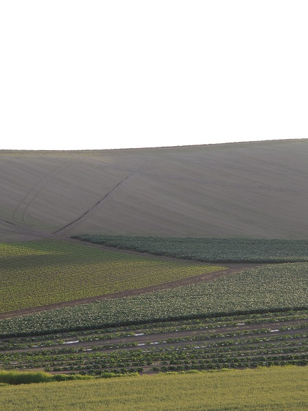 f0150620_9393351.jpg