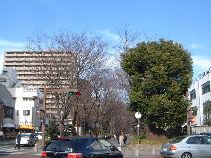 c0074721_15161557.jpg