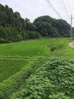 b0310922_22061927.jpg