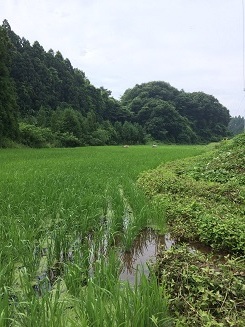b0310922_22074635.jpg