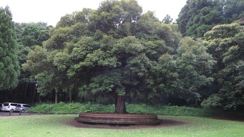 e0202031_2203681.jpg