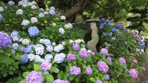 e0202031_2242997.jpg
