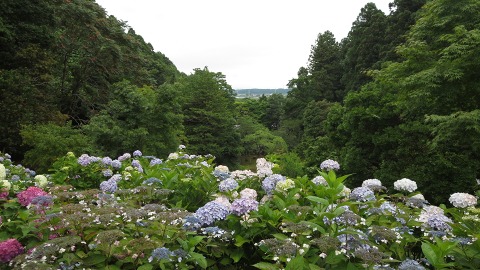 e0202031_2263225.jpg