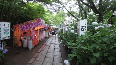 e0202031_227779.jpg