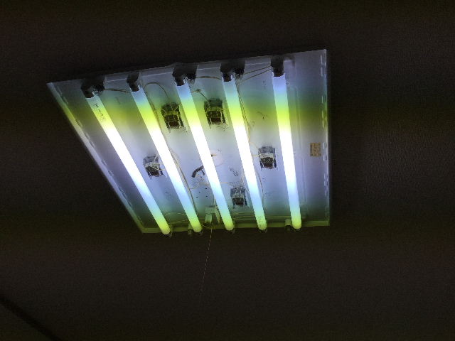 f0031037_17312627.jpg