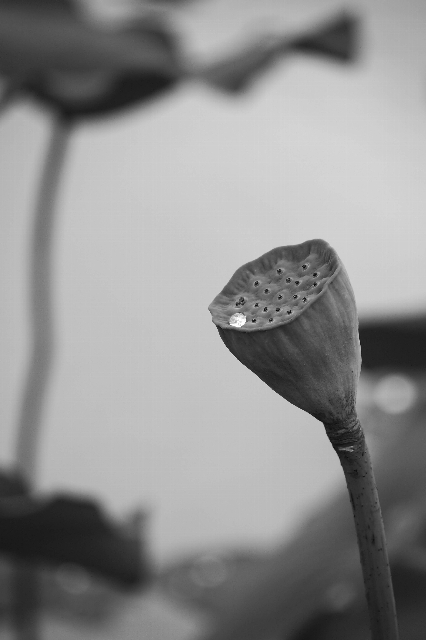 f0158043_21555105.jpg