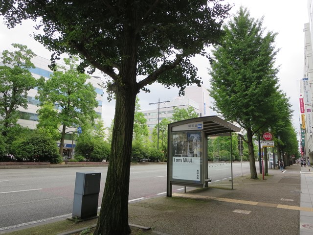 【新潟駅から30分早く着くMaxときで帰宅】_b0009849_1644334.jpg