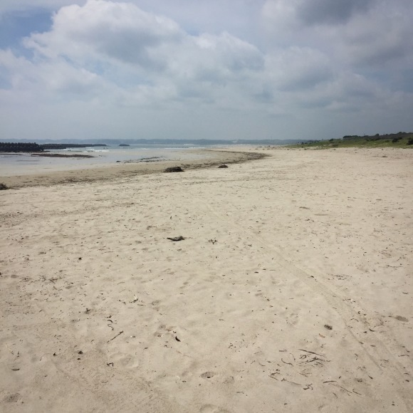 c0312349_17110812.jpeg