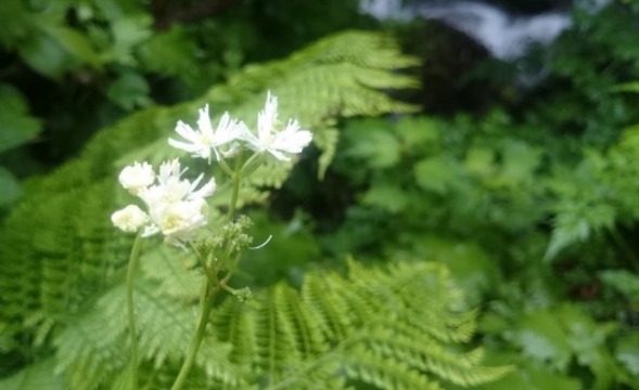 b0148050_8322384.jpg
