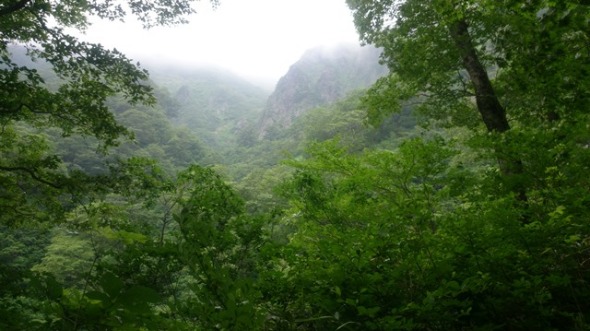 b0148050_832540.jpg